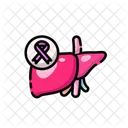 Liver Cancer Cancer Liver Icon
