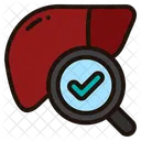 Liver Checkup  Icon