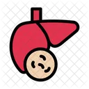Liver Infection Germs Icon