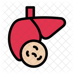 Liver Disease  Icon
