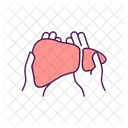 Liver Diseases Treatment  Icon