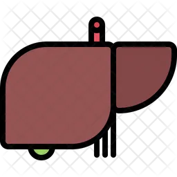 Liver Gallbladder  Icon