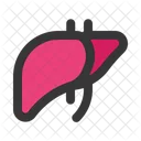 Liver Anatomy Organ Icon