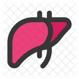 Liver  Icon