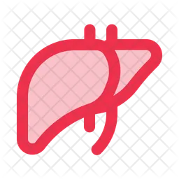 Liver  Icon