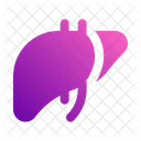 Liver Anatomy Organ Icon