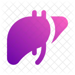 Liver  Icon