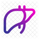 Liver Anatomy Organ Icon