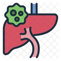 Liver  Icon