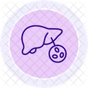 Liver Line Icon Icon