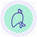 Liver Black Outline Icon Icon