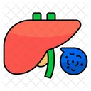 Liver Human Organ Body Part Icon