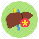 Liver Human Organ Body Part Icon