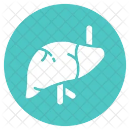 Liver  Icon