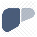 Liver  Icon