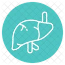 Liver Organ Medical Icon