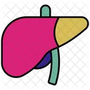 Liver  Icon