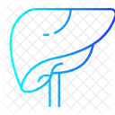 Liver Icon