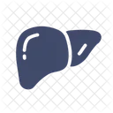 Liver Vital Organs Internal Organ Icon