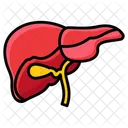 Liver  Icon