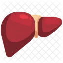 Liver Organ Body Part Icône