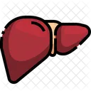 Liver Organ Body Part Icône