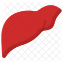 Liver Body Health Icône