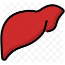 Liver Body Health Icône