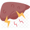 Liver  アイコン