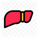 Liver  Icon