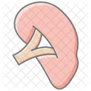 Liver Awesome Lineal Color Icon 아이콘