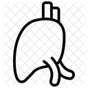 Liver Black Outline Icon 아이콘