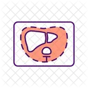 Liver Scan  Icon