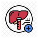 Liver Test Liver Function Icon