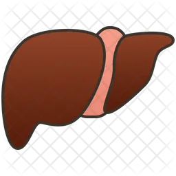 Livers  Icon