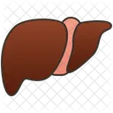 Livers  Icon