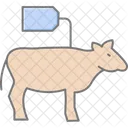Livestock Auction Barn Livestock Auction Icon