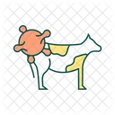 Livestock disease  Icon