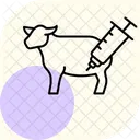 Livestock Vaccination Livestock Vaccination Icon