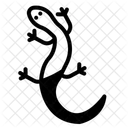 Lizard Animal Reptile Icon