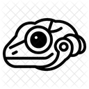 Lizard  Icon