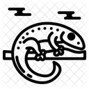 Lizard Icon
