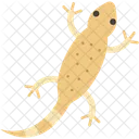 Lizard Reptile Animal Icon