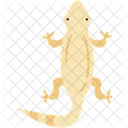 Lizard Reptile Animal Icon