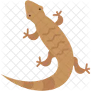 Lizard Reptile Animal Icon