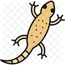 Lizard Reptile Animal Icon