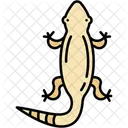 Lizard Reptile Animal Icon