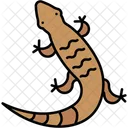 Lizard Reptile Animal Icon