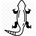 Lizard  Icon