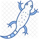 Lizard Reptile Animal Icon